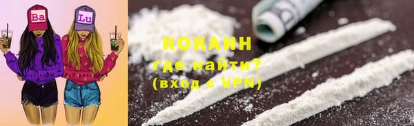 гашик Аркадак