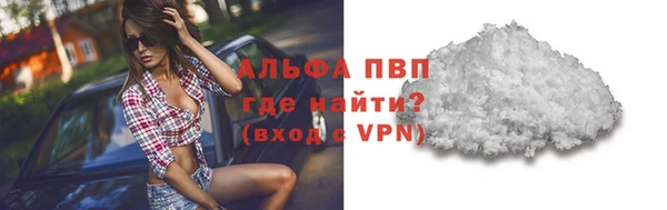 гашик Аркадак