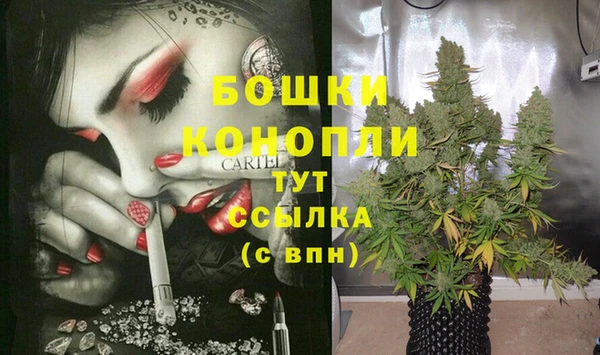 гашик Аркадак