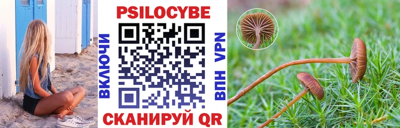 Псилоцибиновые грибы Magic Shrooms  Сасово 